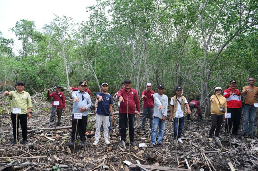 Penanaman Mangrove Perkuat Kolaborasi Masyarakat Pesisir pada Hari Mangrove Sedunia 2026