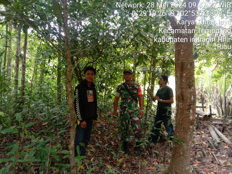 Antisipasi Karlahut, Babinsa Koramil 03/Tpl Lakukan Patroli dan Sosialisasi di Desa Rawan Karlahut