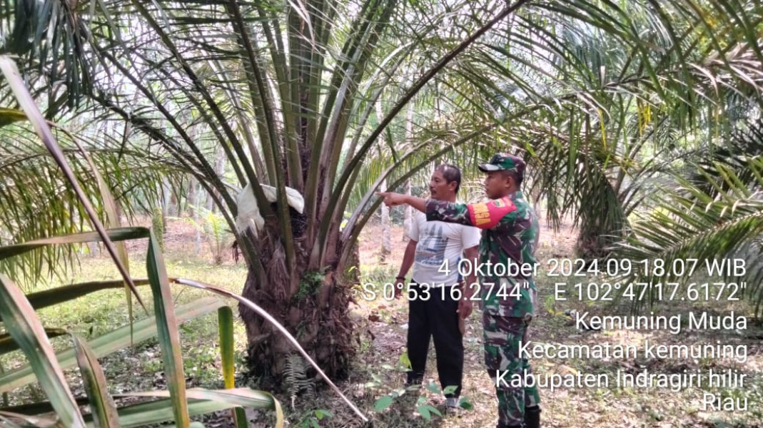 Babinsa Koramil 09/Kemuning Ajak Masyarakat Untuk Lakukan Pencegahan Karhutla