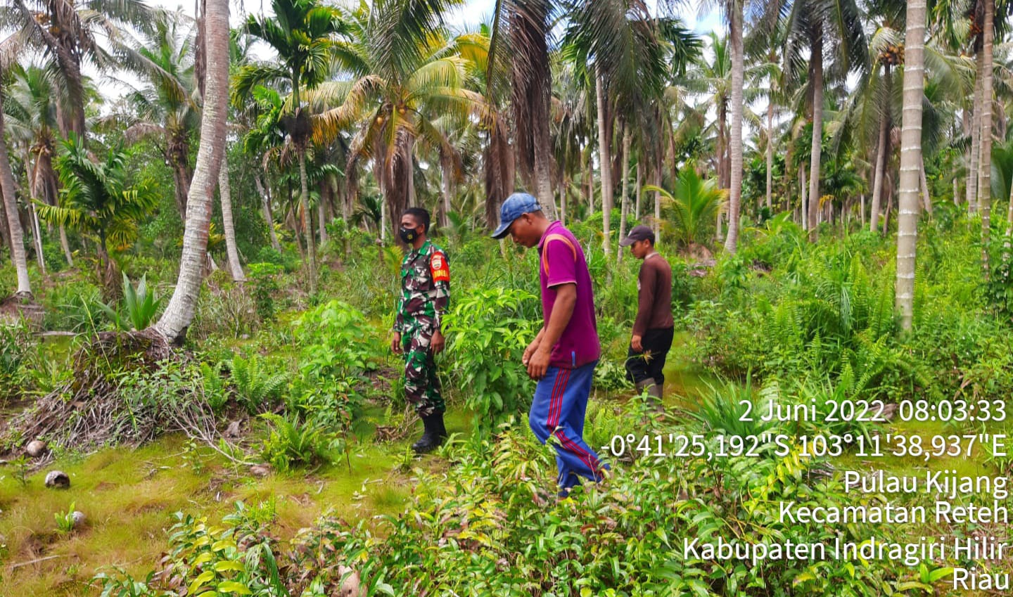 Serda Ramli Aktif Lakukan Patroli Bekas Karhutla di Wilayah Parit 4