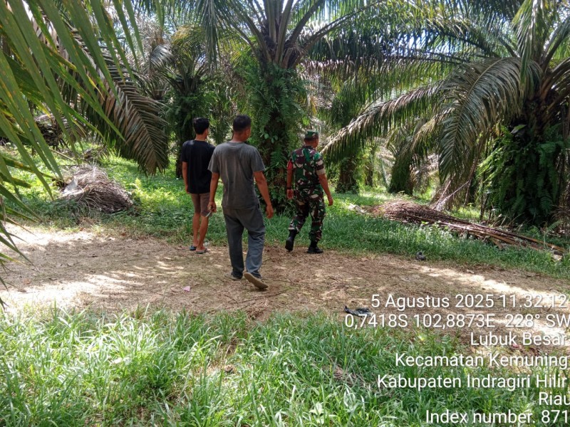 Babinsa Koramil 09/Kemuning Laksanakan Patroli Karhutla di Wilayah Desa Lubuk Besar Secara Rutin
