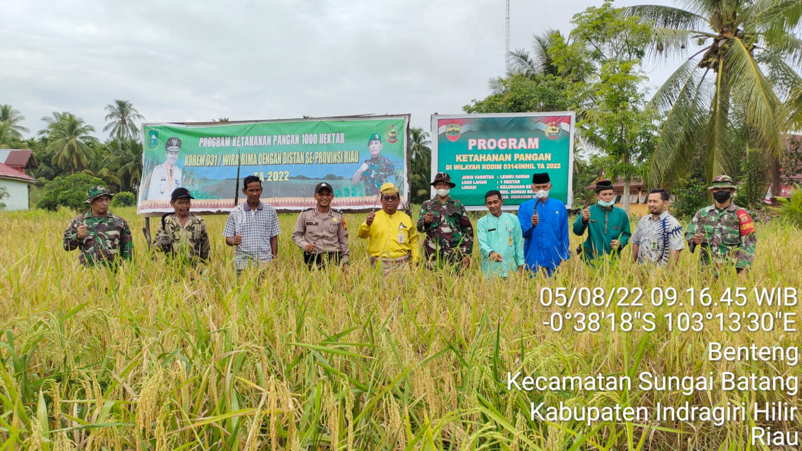 Babinsa Koramil 07/Reteh Lakukan Panen Padi di Wilayah Binaan