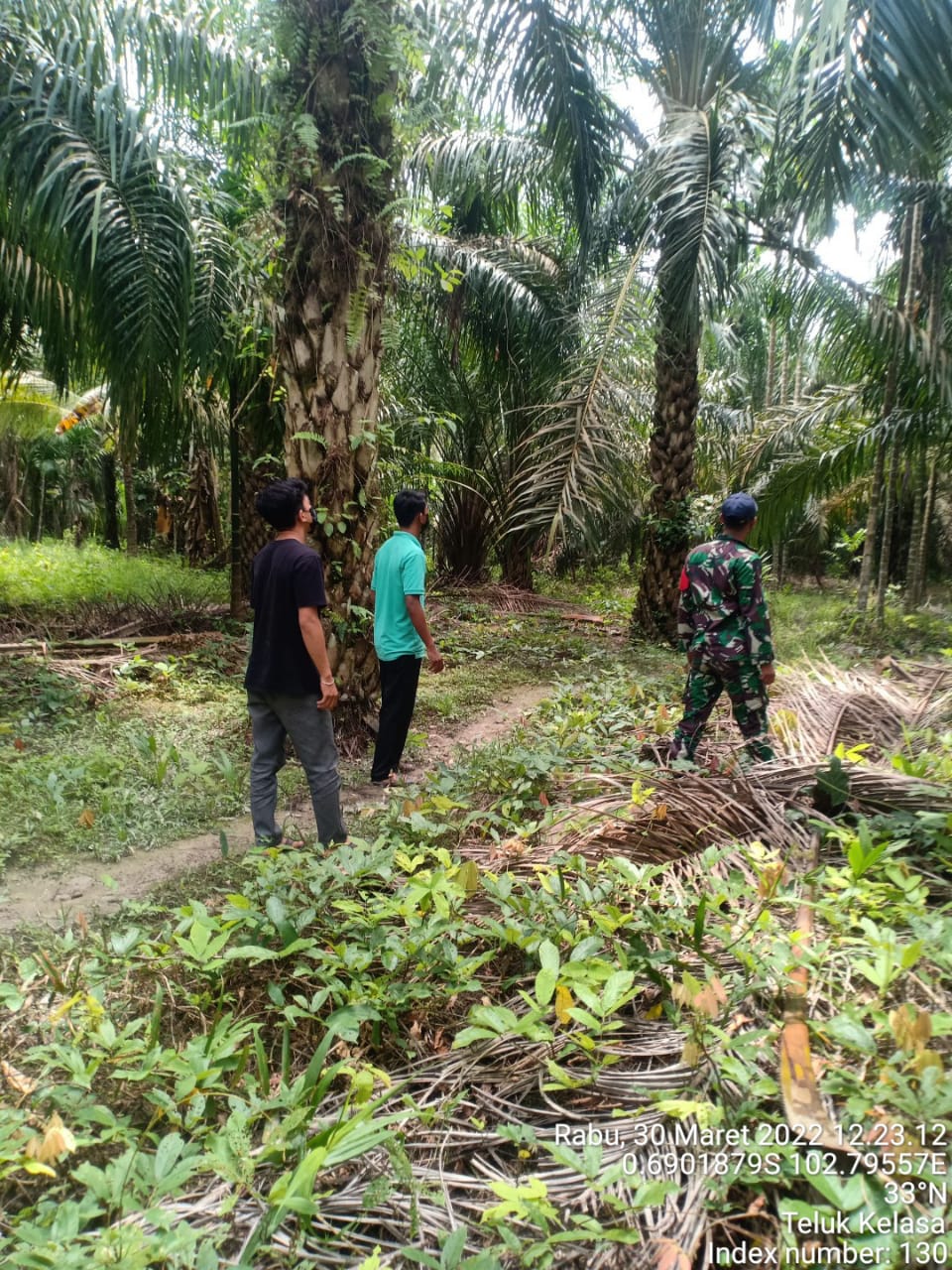 Rutin Lakukan Patroli dan Sosialisasi Karhutla Oleh Babinsa Koramil 09/Kemuning