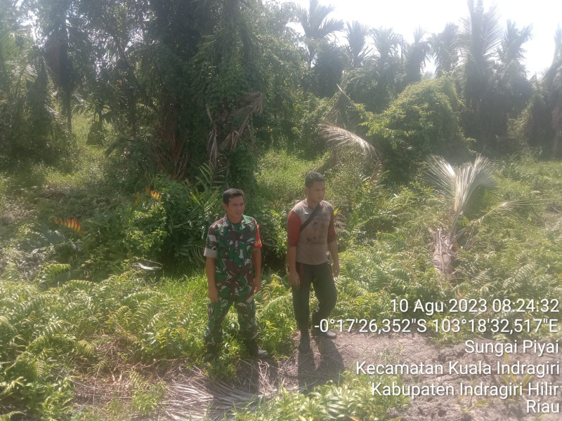 Babinsa Koramil 04/Kuindra Giat Patroli Rutin Untuk Mencegah Kebakaran