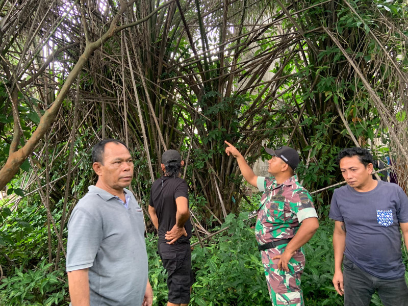 Turun Ke Wilayah, Babinsa Koramil 07/Reteh Pantau Lahan dan Hutan dari Kebakaran