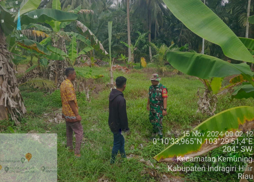 Babinsa Koramil 09/Kemuning Terus Lakukan Pemantauan Terhadap Lahan dan Hutan Warga