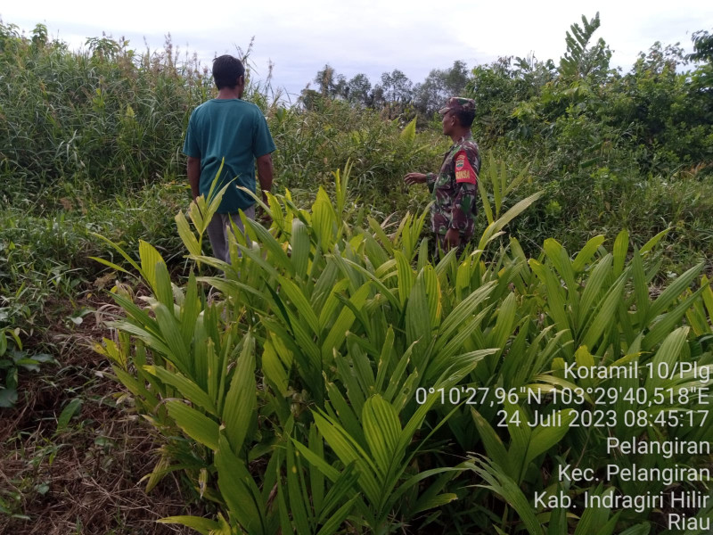 Semangat Yang Kuat, Babinsa Koramil 10/Pelangiran Terus Telusuri Hutan dan Lahan Warga