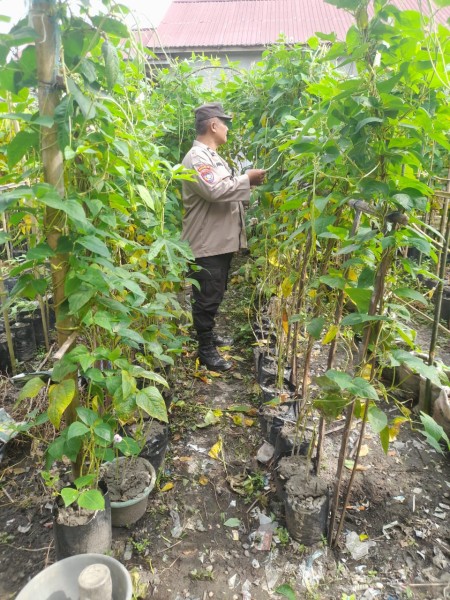 Bhabinkamtibmas Desa Pengalihan Sambangi Pekarangan Warga Dukung Program Ketahanan Pangan