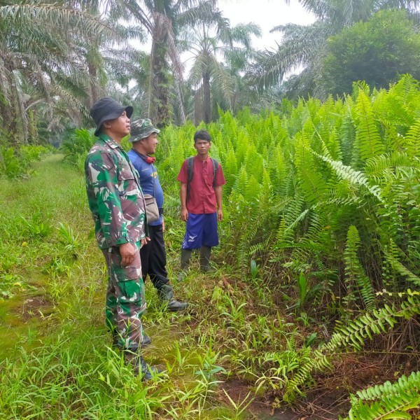 Babinsa Koramil 03/Tpl Sukseskan Patroli Karhutla, Wujudkan Wilayah yang Aman dan Terkendali