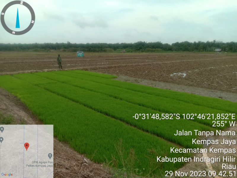 Babinsa Pekan Tua Turun Langsung Untuk Mengecek Hampangan Sawah Petani di Kelurahan Kempas Jaya