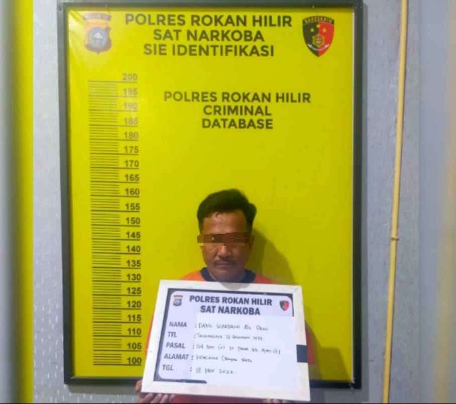 Satresnarkoba Polres Rohil Grondol Pengedar Sabu - Sabu Dikebun Sawit Dusun Kencana