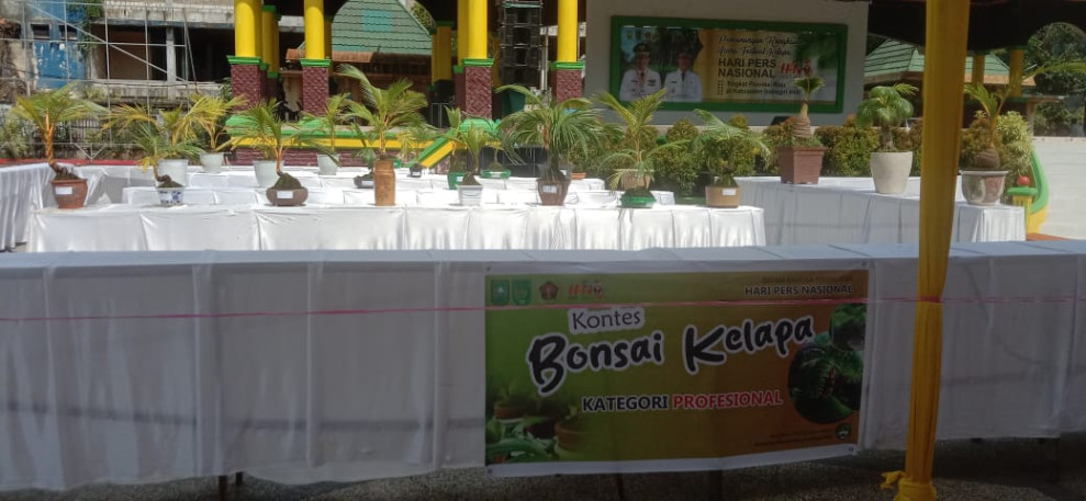Kontes Bonsai Kelapa Sempena HPN Tingkat Provinsi Riau 2023 Dimulai