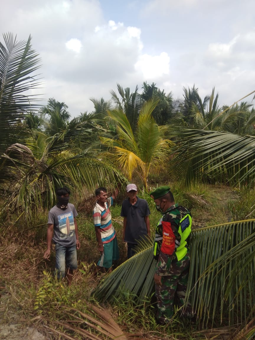 Langkah Antisipasi, Personil Koramil 04/Kuindra Terus Lakukan Patroli Karhutla