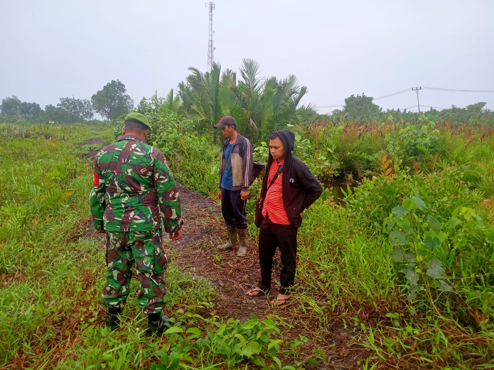 Cegah Kebakaran Hutan dan Lahan, Babinsa Koramil 04/Kuindra Rutin Melakukan Patroli