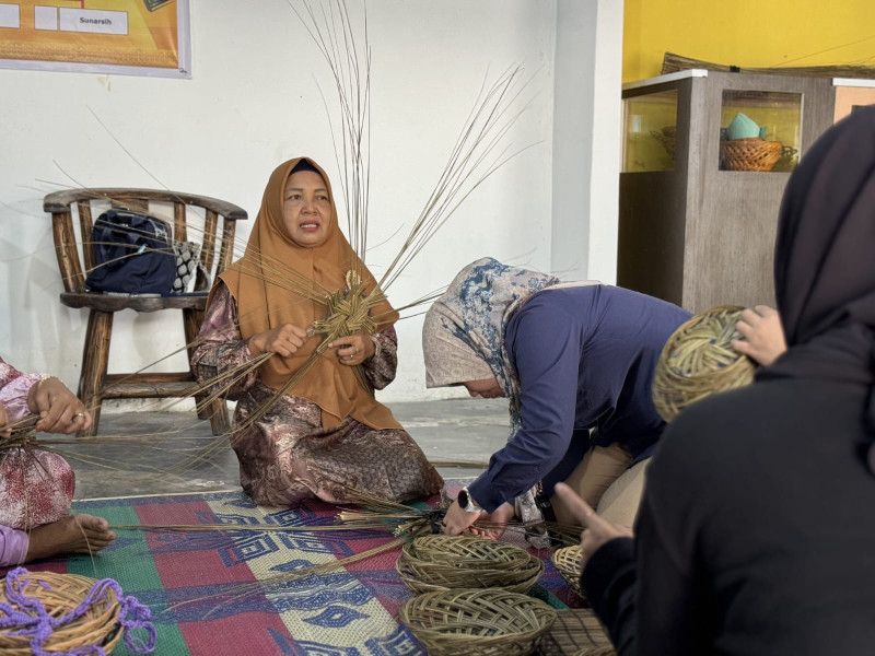 PLN Dorong Kemandirian Ekonomi melalui Program Desa Berdaya Kampung Pangan Mandiri