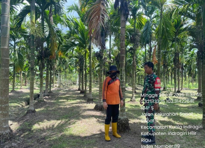 Komitmen Babinsa Koramil 04/Kdr Jaga Keamanan Wilayah Dari Bahaya Karhutla