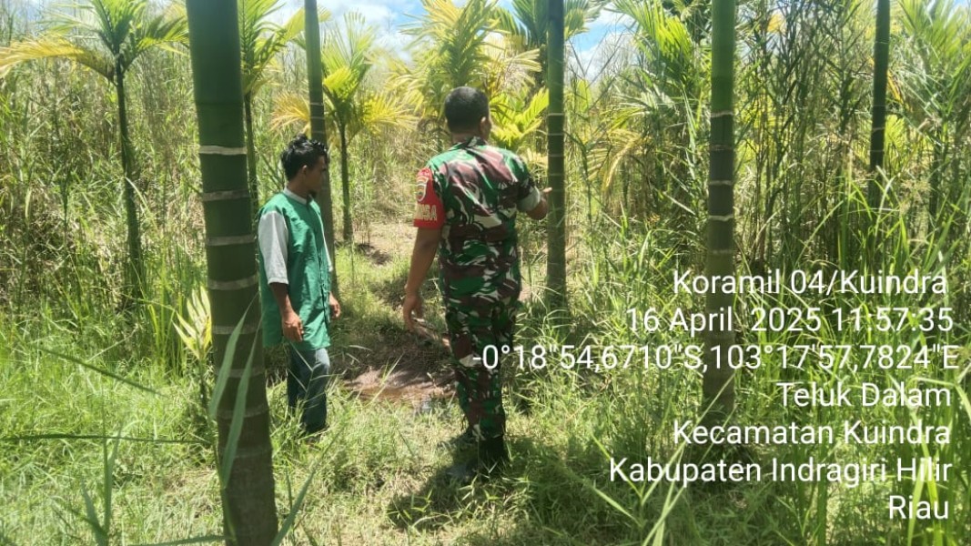 Patroli Karhutla di Wilayah Koramil 04/Kuindra Berjalan Lancar dan Dilakukan Secara Rutin