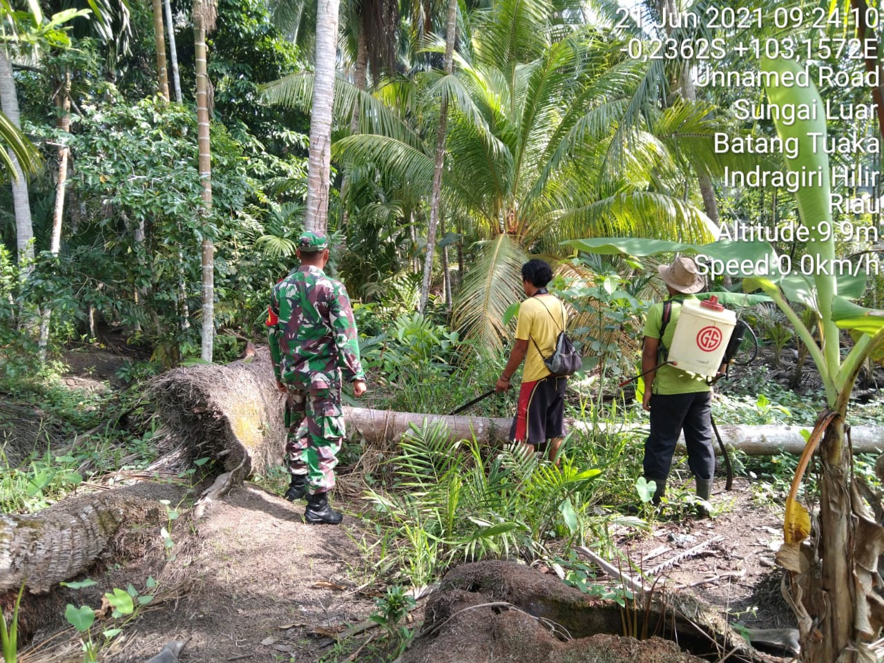 Bersama Warga, Babinsa Simpang Jaya Serda Safrijon Tinjau Lokasi Rawan Kebakaran Lahan