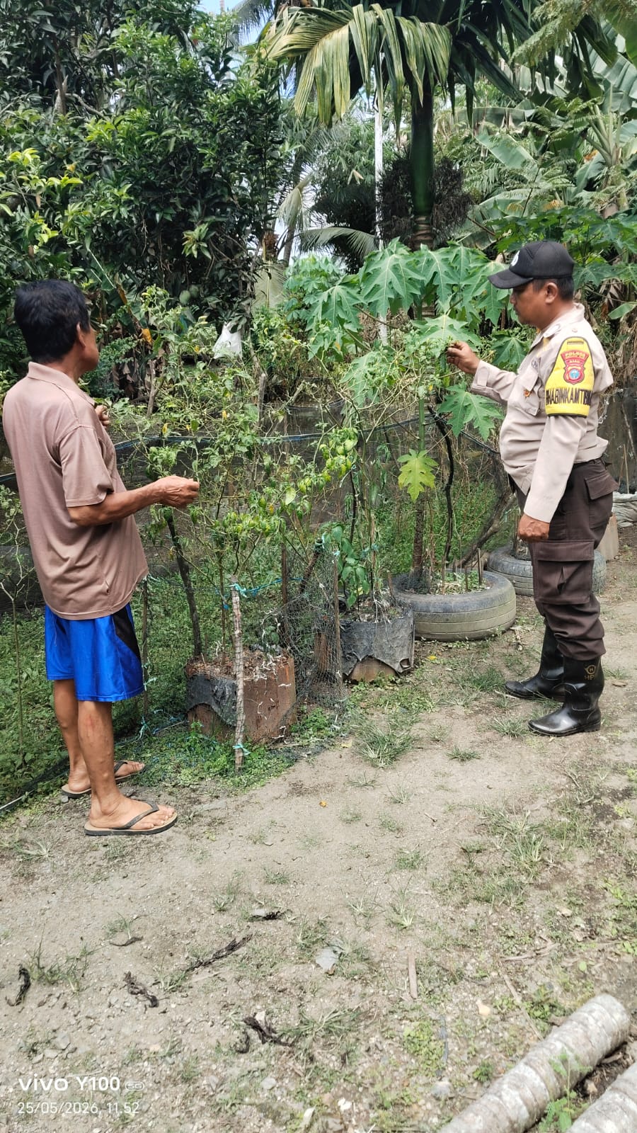 Temukan Tanaman Terserang Hama, Polsek Enok Dorong Warga Rawat Pekarangan
