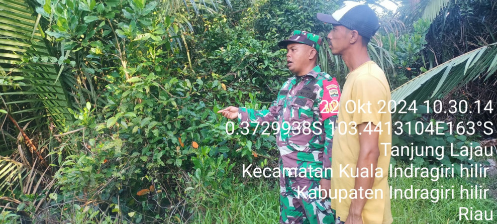 Bersama Masyarakat, Babinsa Koramil 04/Kuindra Rutin Pantau Lahan dan Hutan Warga Guna Cegah Kebakaran