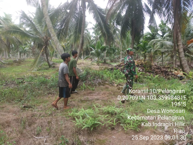 Babinsa Koramil 10/Pelangiran Terus Lakukan Pemantauan Terhadap Karhutla