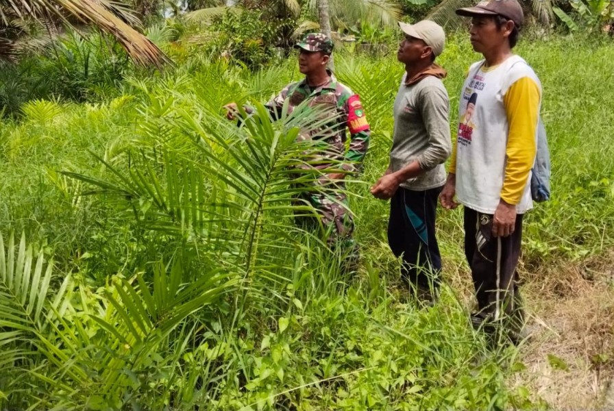 Guna Antisipasi Karhutla, Sertu Johansah Laksanakan Patroli Tapal Batas di Desa Sanglar