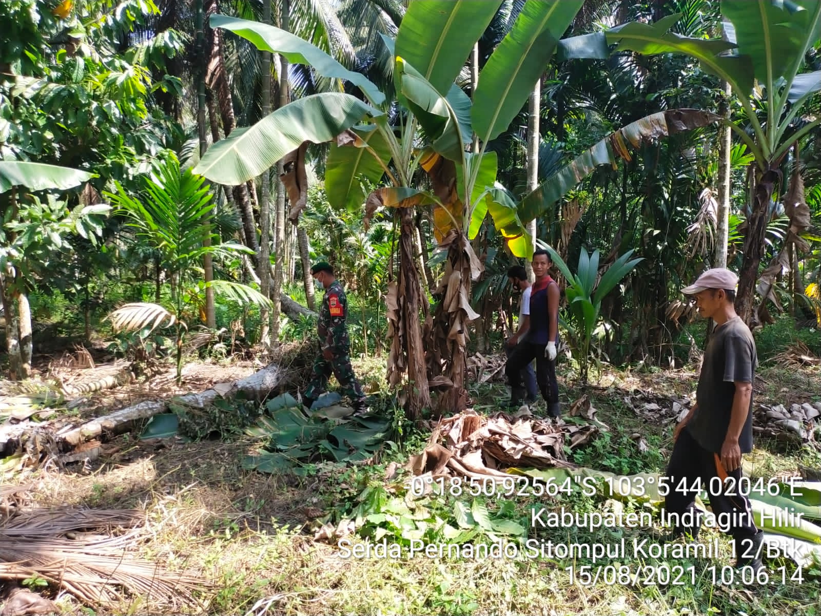 Karlahut Gencar Dimonitori dengan Patroli Agresif Babinsa Koramil 12/Batang Tuaka 