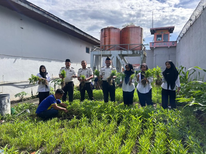 Ketahanan Pangan Berkelanjutan, Lapas Tembilahan Kembali Panen Kangkung 40 Kg