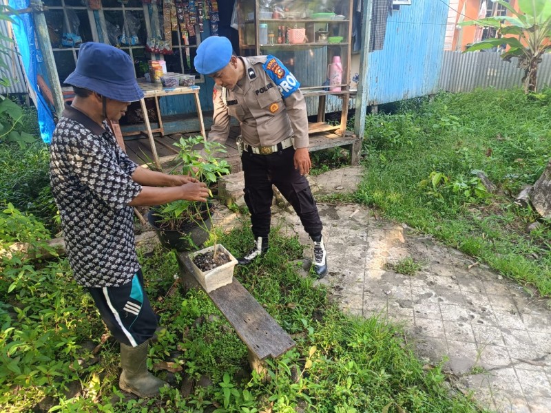 Dorong Produktivitas Ekonomi Masyarakat, Bhabinkamtibmas Enok Pantau Tanaman di Perkarangan Rumah