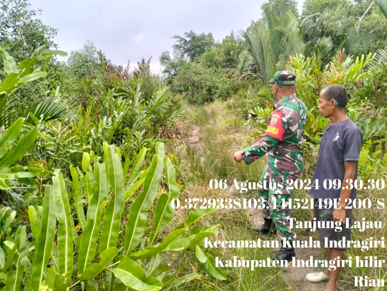 Cegah Kebakaran, Babinsa Serda S.R. Siahaan Turun Untuk Patroli Karhutla di Binaan