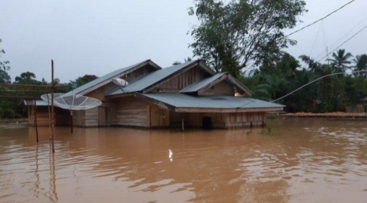 Diguyur Hujan Deras, Enam Desa di Riau Ini Terendam Banjir
