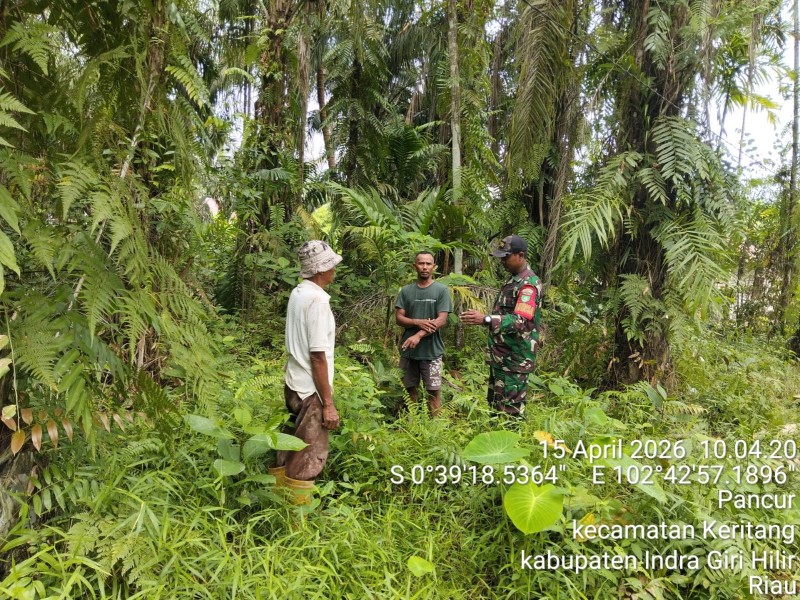 Babinsa Koptu Setiawan Harianto: Patroli Rutin Kunci Cegah Dini Kebakaran Lahan di Kemuning