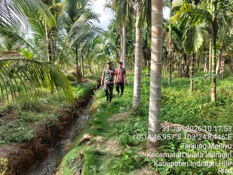 Patroli Tapal Batas: Upaya TNI Cegah Karhutla di Desa Tanjung Melayu