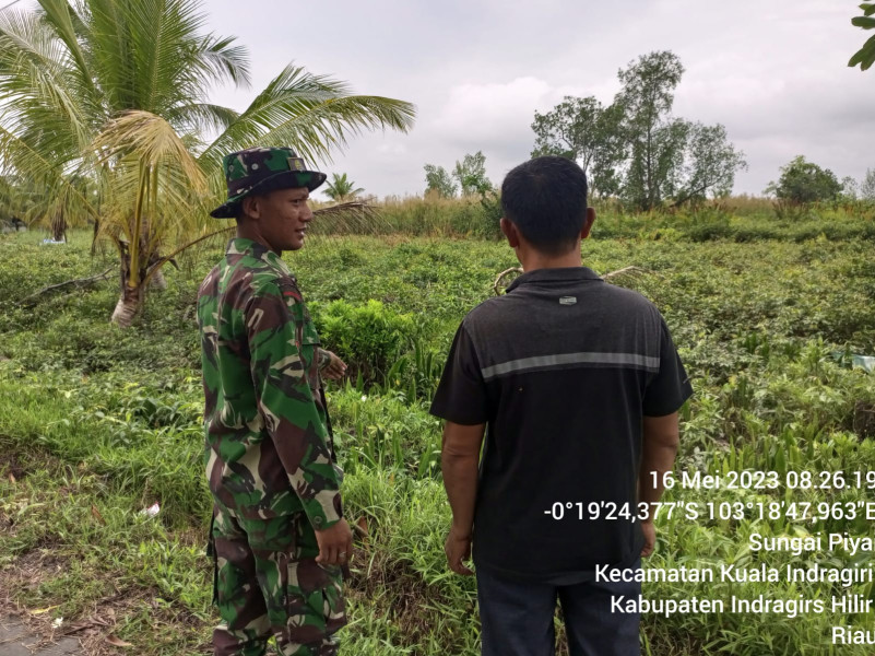 Babinsa Koramil 04/Kuindra Tetap Jaga Hutan dan Lahan di Binaan Bersama Warga