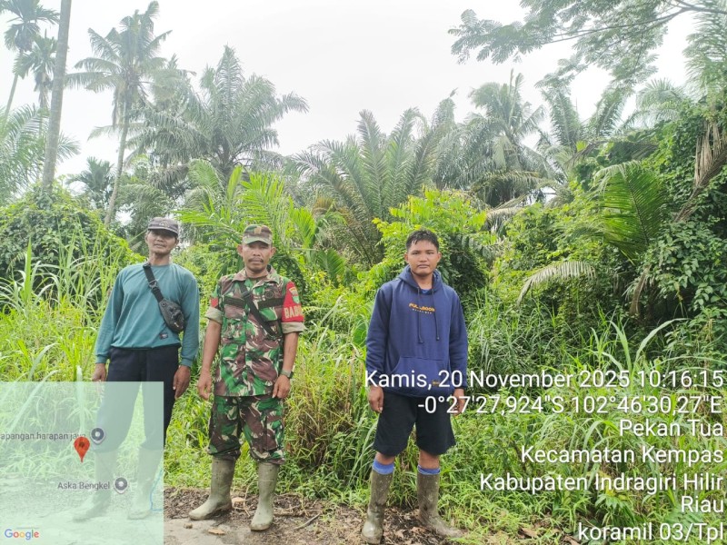 Jaga Darat di Tapal Batas Desa Harapan Jaya: Babinsa Koramil 03/Tpl Lakukan Patroli Khusus Karhutla