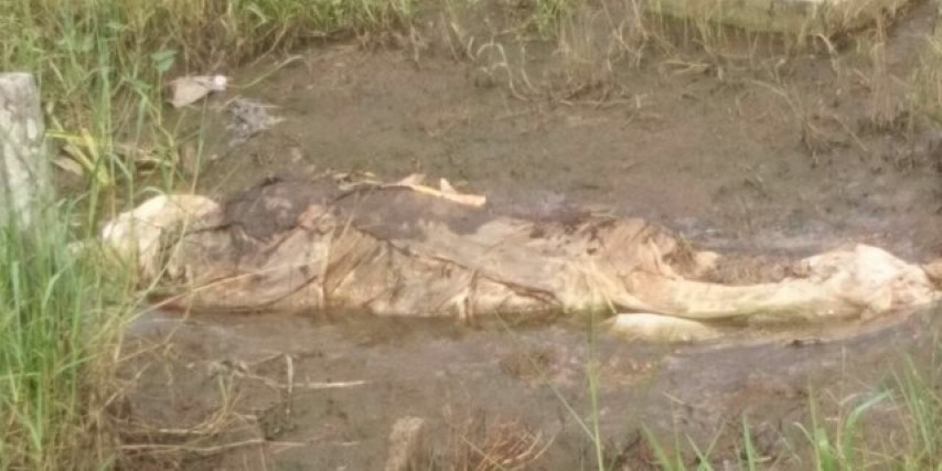 Jenazah Berkain Kafan Muncul ke Permukaan Makam Hebohkan Warga, Liat Foto-Fotonya Disini 