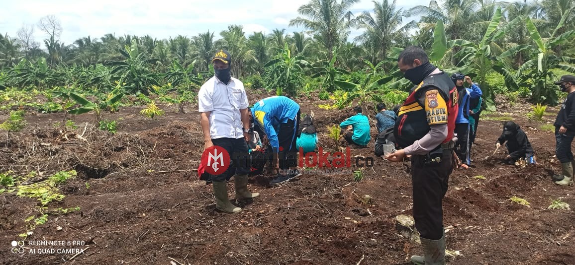 Penyemaian Bibit Mentimun oleh Bhabinkamtibmas Desa Rambaian 