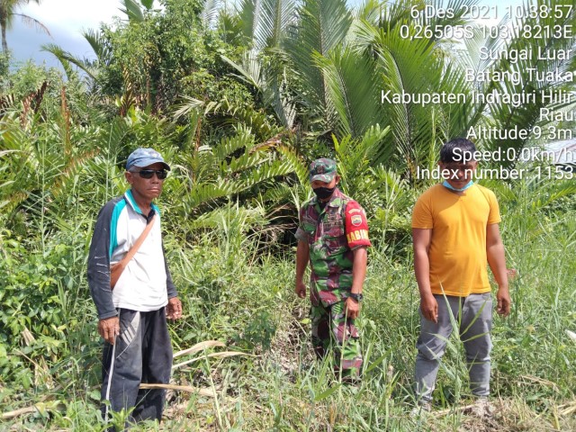 Babinsa Serda Safrijon Lakukan Peninjauan Lahan Guna Cegah Kebakaran di Simpang Jaya