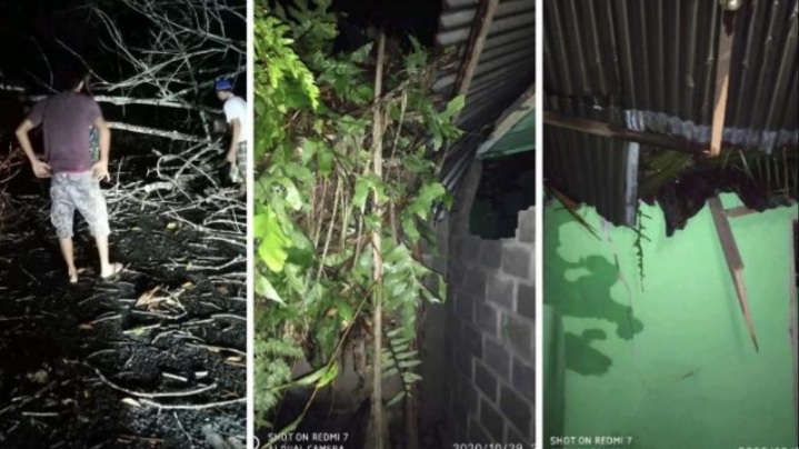 Diterjang Angin Puting Beliung, Pohon dan Atap Rumah Warga di Riau Ini Beterbangan