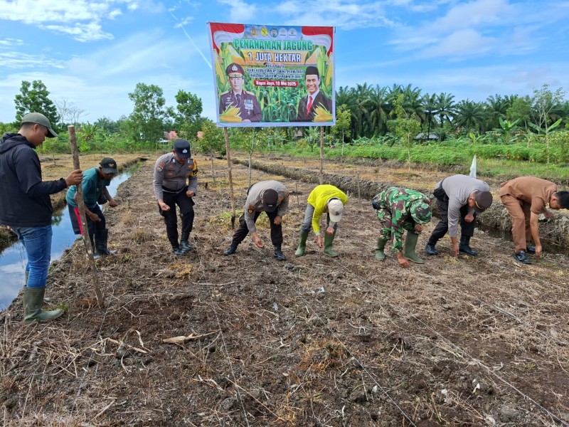Kelompok Tani Bumi Hijau Desa Bayas Jaya Bersama Polsek Kempas dan Pemdes Tanam Jagung Dukung Program Ketahanan Pangan