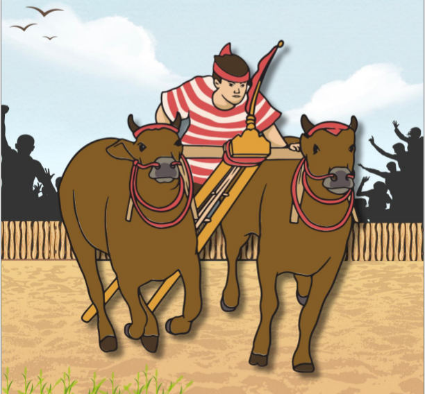 Bantuan Ternak Sapi Ketahanan Pangan DD di Kepenghuluan Bhayangkara Kap Rohil, Di pelihara di Sumut.