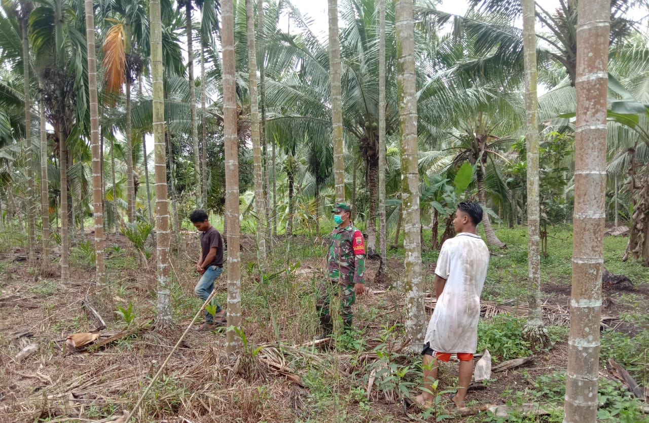 Babinsa 04/Kuindra Gencarkan Patroli Karhutla di Wilayah Binaan