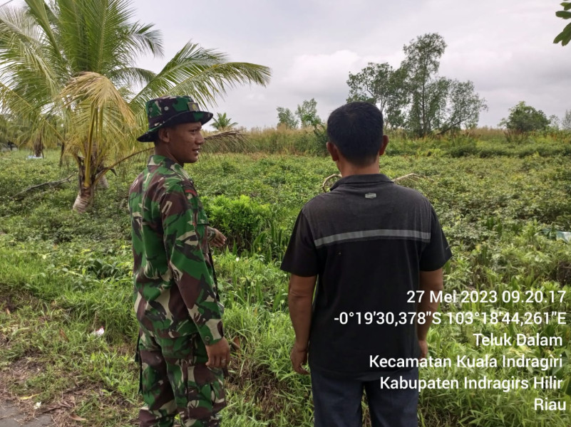 Cegah Kebakaran Hutan dan Lahan Oleh Babinsa Koramil 04/Kuindra di Binaan