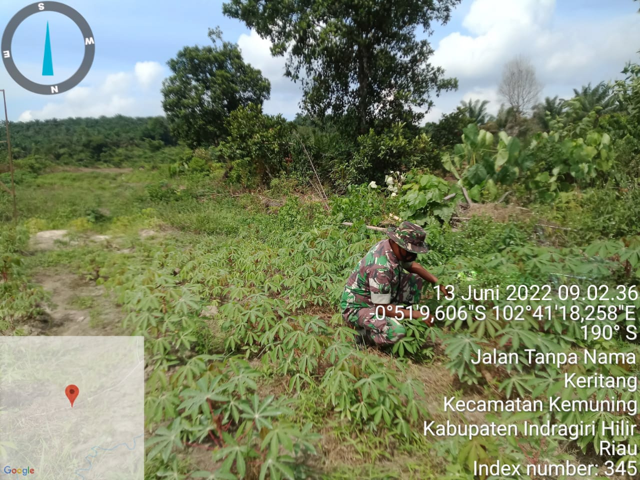 Upaya Untuk Pembersihan Gulma dan Tanaman Liar Oleh Koramil 09/Kemuning