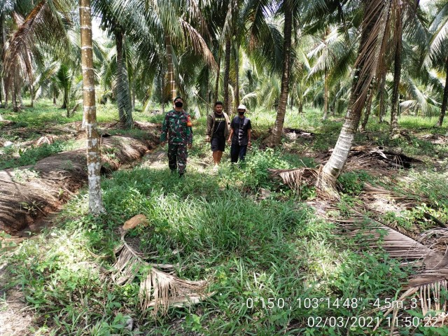 Anggota Koramil 12/Batang Tuaka Rutin Patroli Karhutla di Desa Tasik Raya Bersama Warga