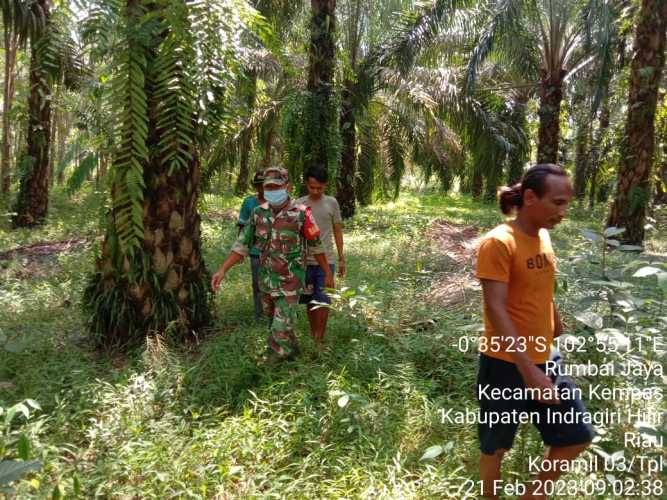 Cuaca Semakin Panas, Babinsa 03/Tpl Rutin Lakukan Patroli Karhutla
