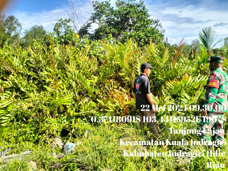 Babinsa Koramil 04/Kuindra Patroli Karhutla di Area Perkebunan Milik Warga