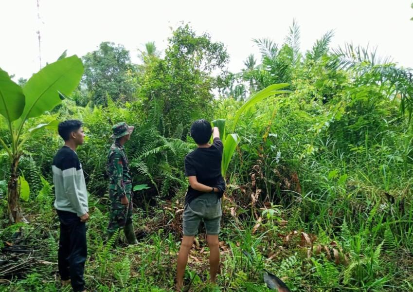 Patroli Karhutla di Wilayah Koramil 07/Reteh, Tidak Ditemukan Titik Api dan Asap