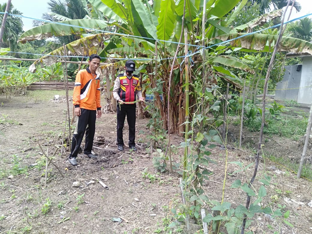 Bhabinkamtibmas Teluk Tuasan Gelar Pengecekan dan Pembersihan Tanaman di Kebun Hanpangan
