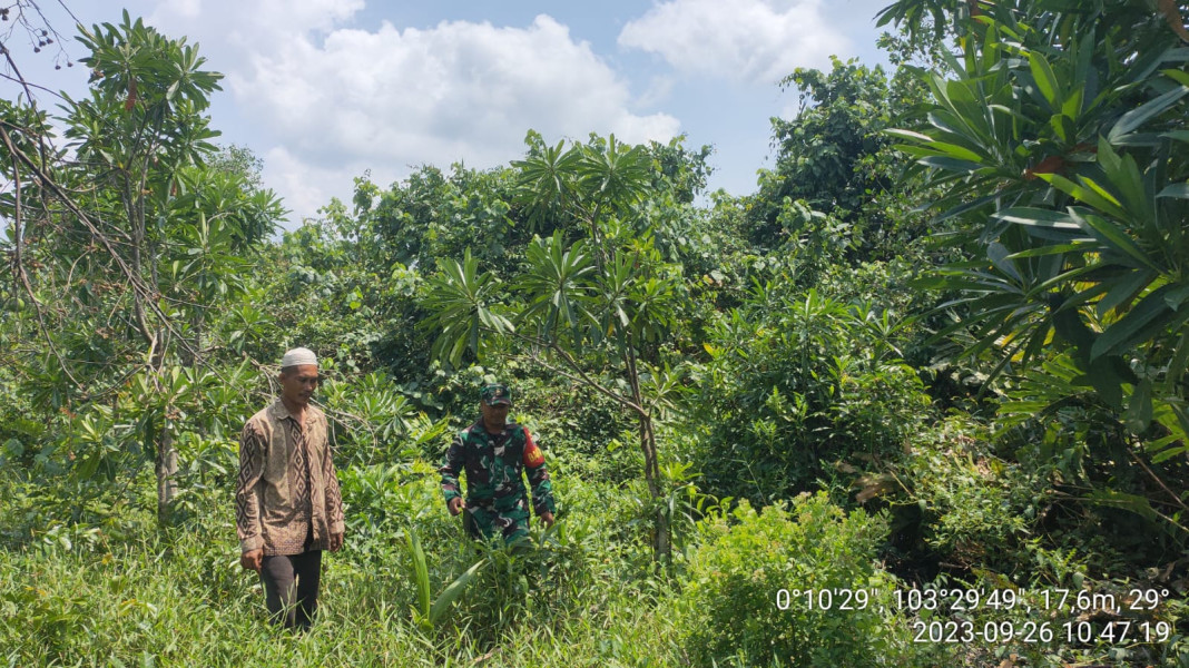 Rutin Laksanakan Patroli, Babinsa Koramil 10/Pelangiran Pantau Karhutla